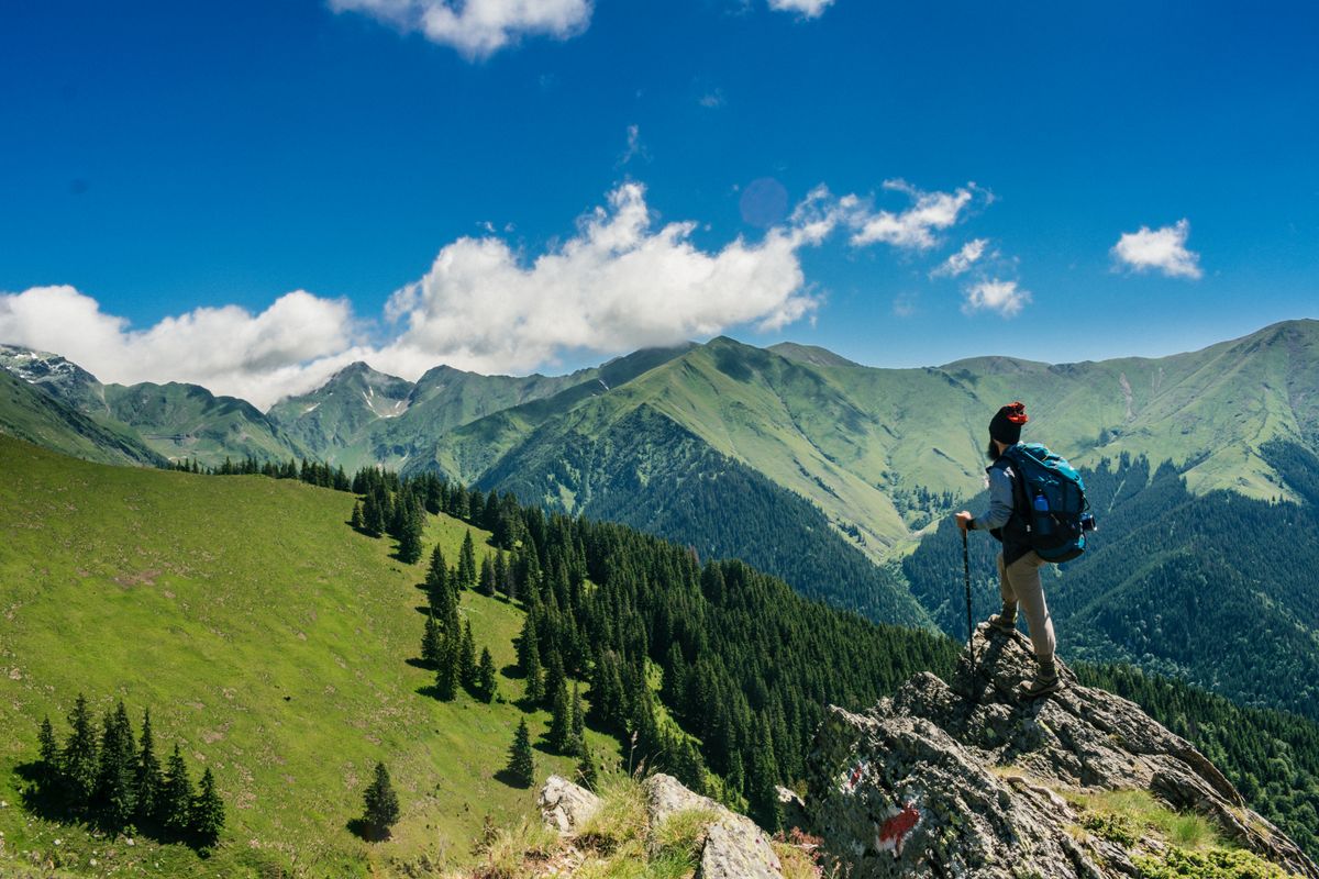 Expedia France Travel Booking Platform